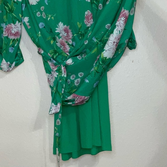Beautiful green floral Daniel Rainn Harlow shirt dress with matching tie belt. - Picture 12 of 17